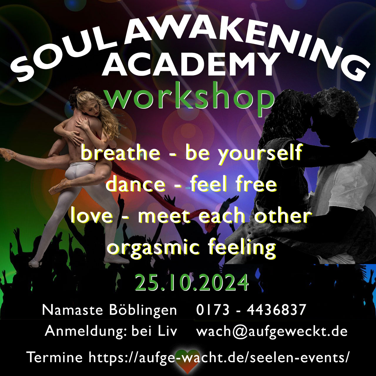 soul_awakening_academy