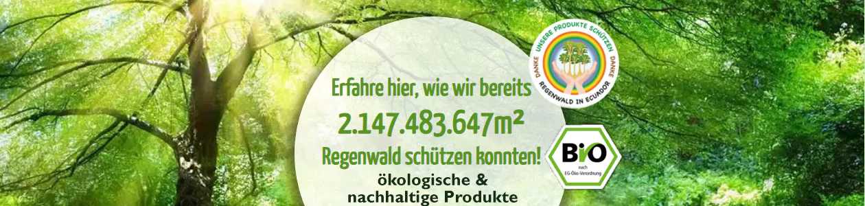 Regenbogenkreis Banner